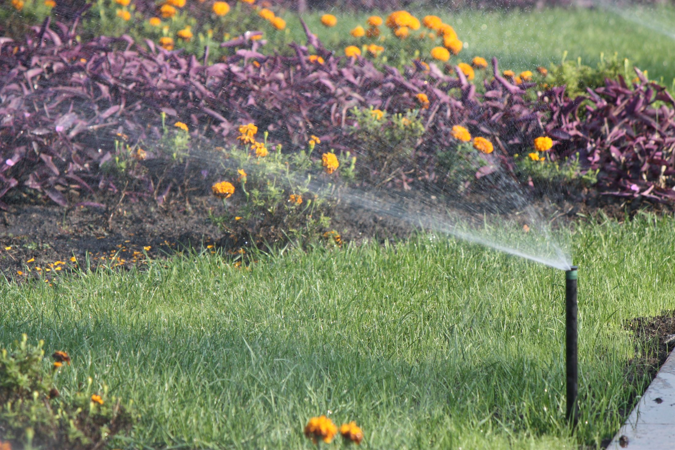 Парк Ленінського Комсомолу, фото 34